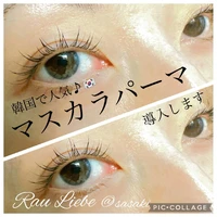 画像271