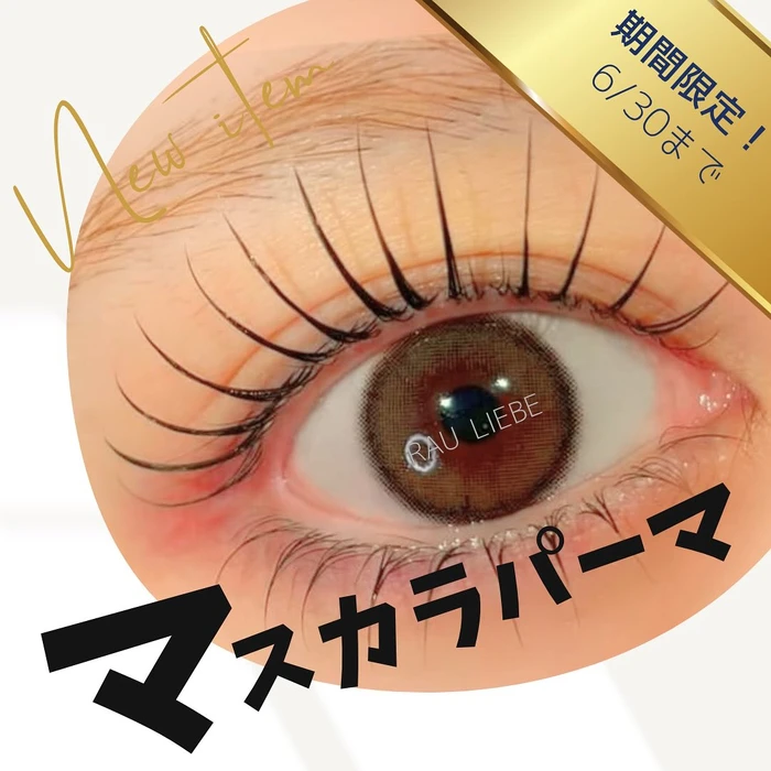 画像638